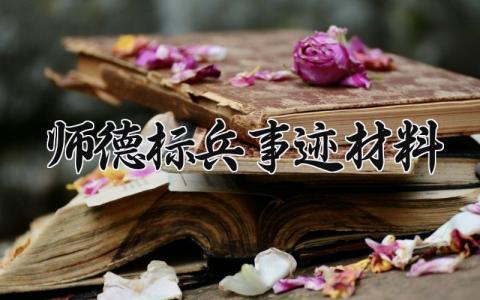 师德标兵事迹材料范文 师德个人先进事迹材料 (7篇)