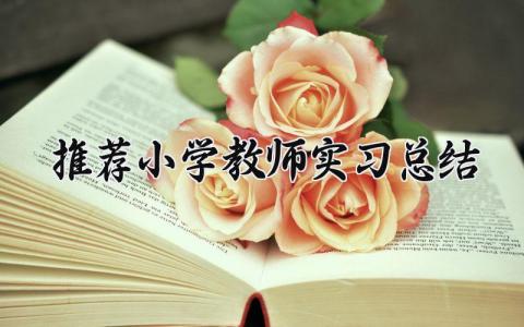 推荐小学教师实习总结 小学教师实习总结范文 (13篇)