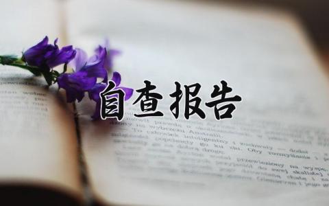 2024自查报告对照材料 2024年自查自纠报告及整改措施
