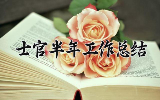2024士官半年工作总结范文 2024士官半年工作总结怎么写6篇