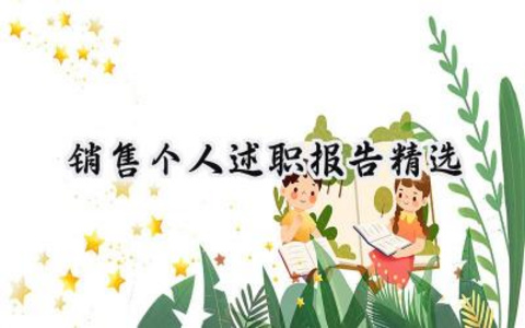 销售个人述职报告精选范文(13篇)