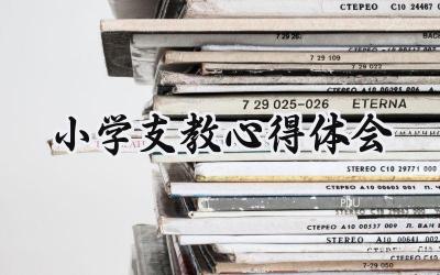 小学支教心得体会300字范文 (13篇)