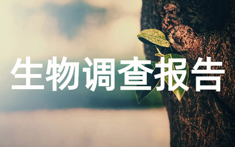 学生生物调查报告范文（合集15篇）