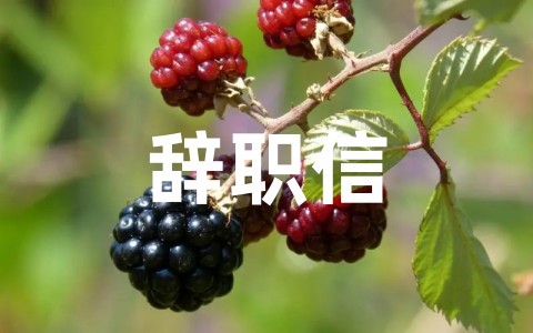 全新酒店员工辞职信范文（通用20篇）