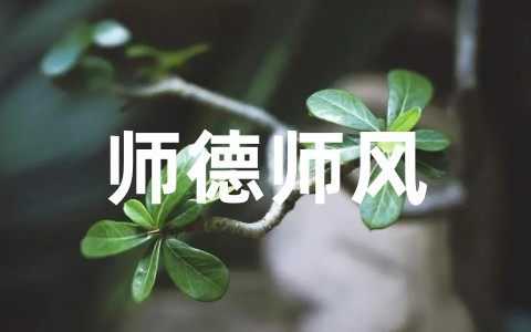 师德师风提升个人总结范文大全（精选23篇）