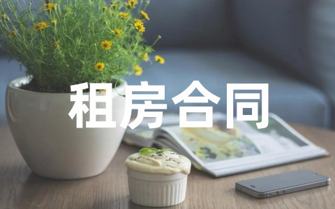 深圳租房合同范本标准版(精选16篇)