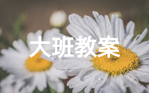 青花瓷大班教案（精选12篇）