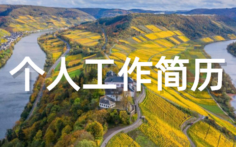 个人工作简历模板大全（精选23篇）