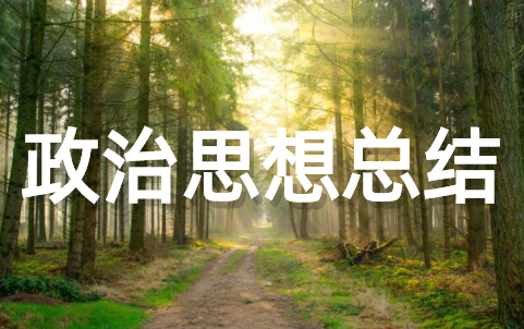 政治思想方面个人总结大全(通用20篇)