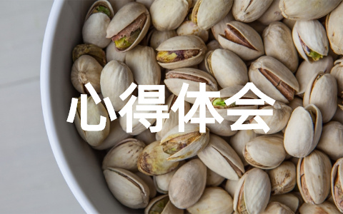 大学生社会实践心得体会感悟范文大全（精选24篇）