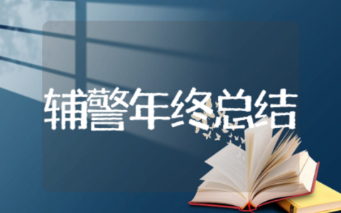 辅警个人年终总结 辅警个人总结简单明了