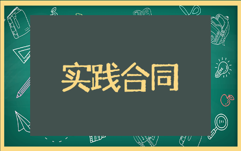 实践合同优秀示例 实践合同精选模板