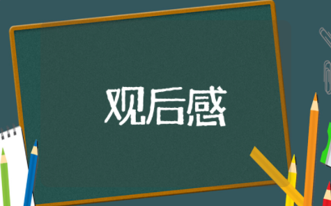 男儿本色心得体会感悟 男儿本色经典观后感