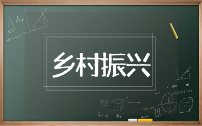 乡村振兴谈心谈话记录 谈话记录乡村治理