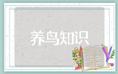 养鸟知识大全 新手养鸟入门知识