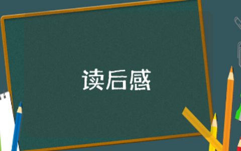 《亚历山大和发条老鼠》绘本故事读后感大全 《亚历山大和发条老鼠》阅读感悟合集