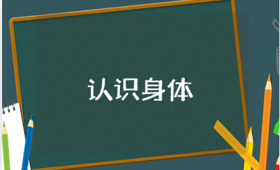 《认识身体的各个部位》幼儿园小班优秀健康教案范文