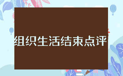 2023年组织生活结束后点评 最新组织生活结束后点评