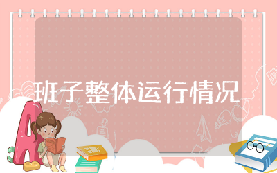 班子整体运行情况评价简短  关于领导班子运行情况总体评价