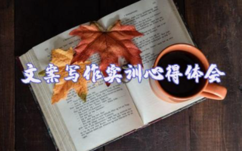 文案写作实训心得体会总结万能模板范文（15篇）