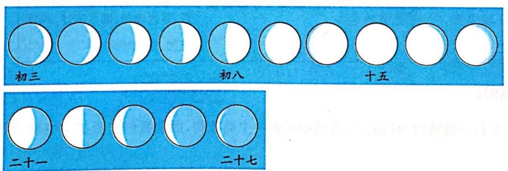 小学二年级科学知识点归纳及测试题汇总完整版