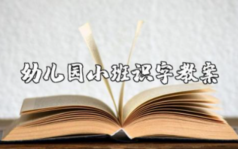 幼儿园小班识字教案及反思大全