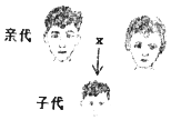 初三生物上册知识点重点总结归纳及真题练习题