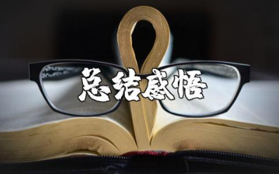 导师带徒总结范文 导师带徒收获感悟模板