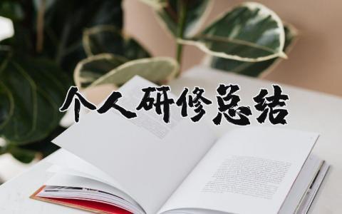 个人研修总结 研修报告总结心得体会