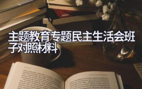 2023年主题教育专题民主生活会班子对照材料范文合集（13篇）