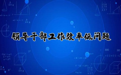 领导干部工作效率低问题不足及整改措施范文通用