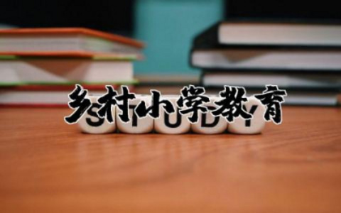 乡村小学教育范文模板  农村小学学校教育总结