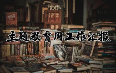 主题教育周工作汇报范文  主题教育周汇报总结合集