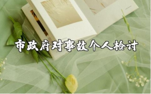 市政府领导对事故的个人检讨检查通用范文汇总