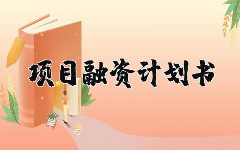 项目融资计划书范文大全