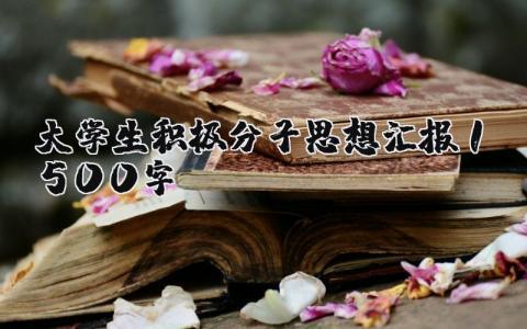 师德师风总结教师个人总结 精选16篇