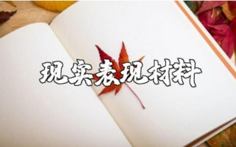 审计局干部2023年度个人现实表现材料范文汇总