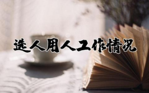 选人用人工作情况汇报精选 选人用人专题工作情况汇报