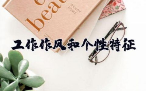 工作作风和个性特征 个人作风方面的自我评价