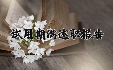 试用期满述职报告汇总 试用期满个人工作述职汇报合集