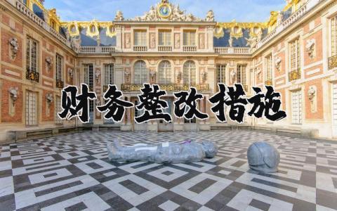 财务整改措施范文汇总 财务问题整顿方案对策模板合集