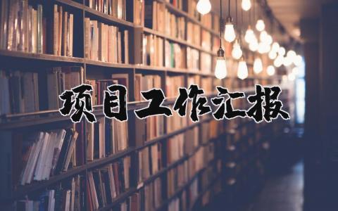 项目工作汇报材料范文 项目推进情况汇报材料范文