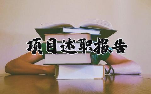 项目述职报告个人范文 项目述职报告2025最新