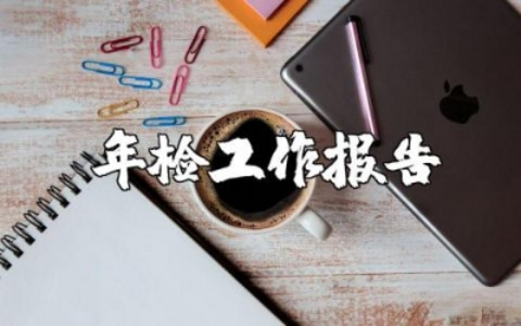 民办非企业的年检工作总结报告精选范文汇总