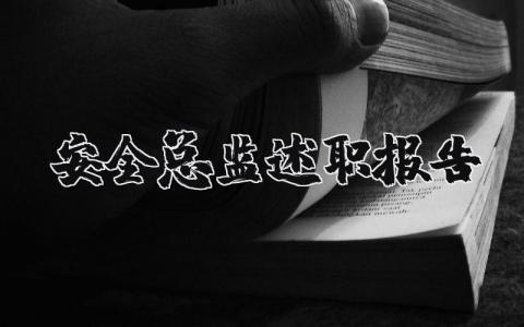 安全总监述职报告汇报精选 2025年安全总监述职报告范文