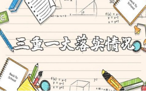 三重一大落实情况总结报告范文 贯彻落实三重一大情况汇报模板