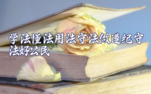 学法懂法用法守法做遵纪守法好公民 做学法守法好公民心得体会范文