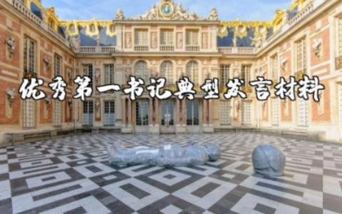 优秀第一书记典型发言材料范文大全