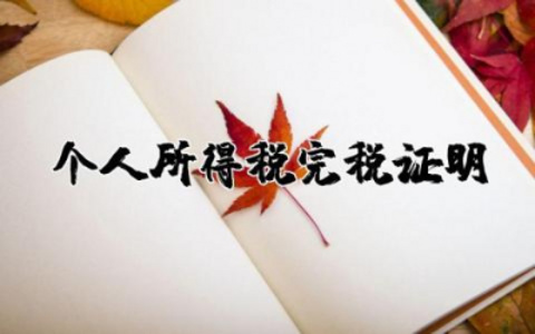 个人所得税完税证明清单 个人所得税完税证明样本