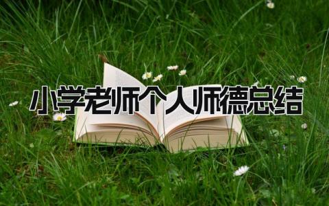 小学老师个人师德总结 精选15篇